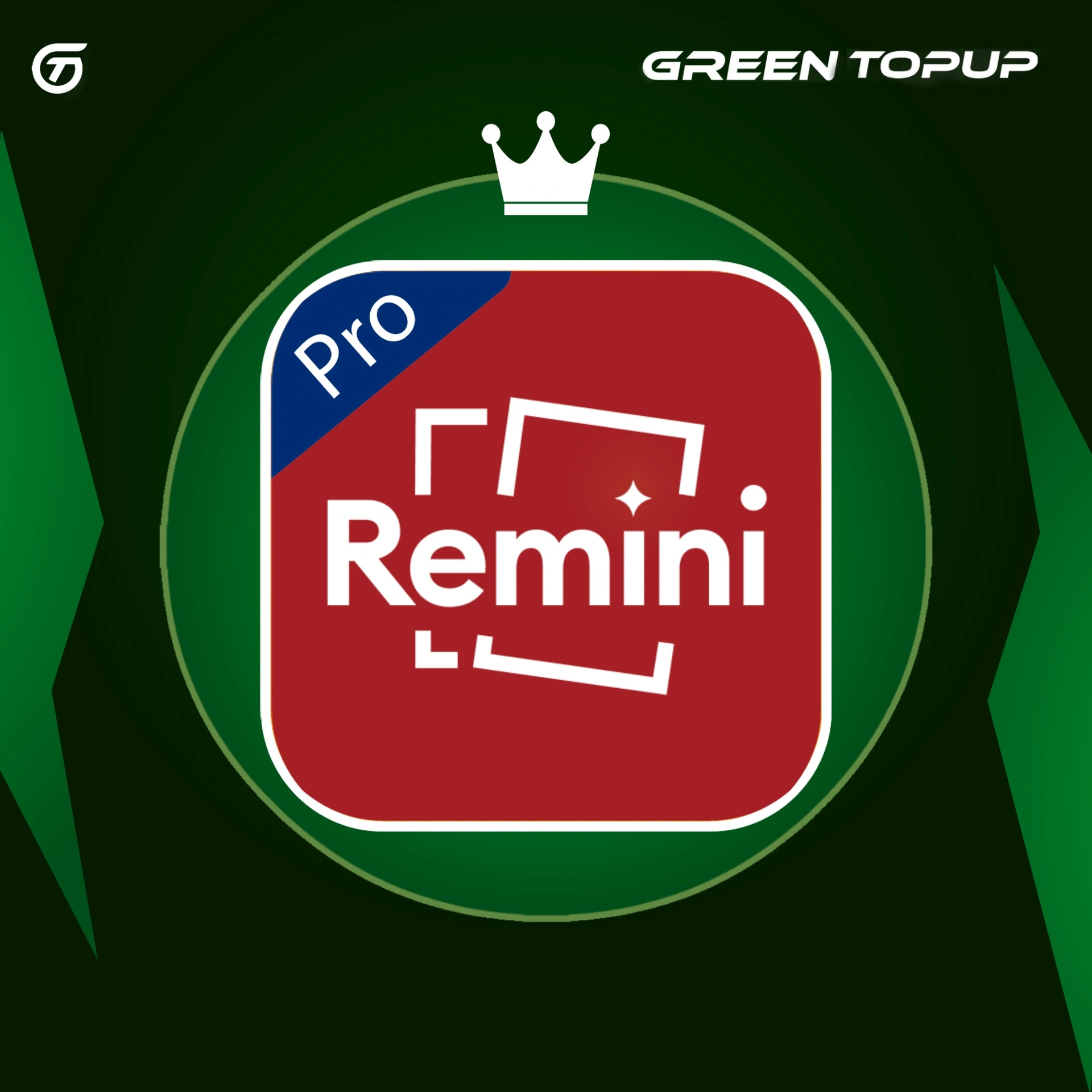 REMINI PRO 