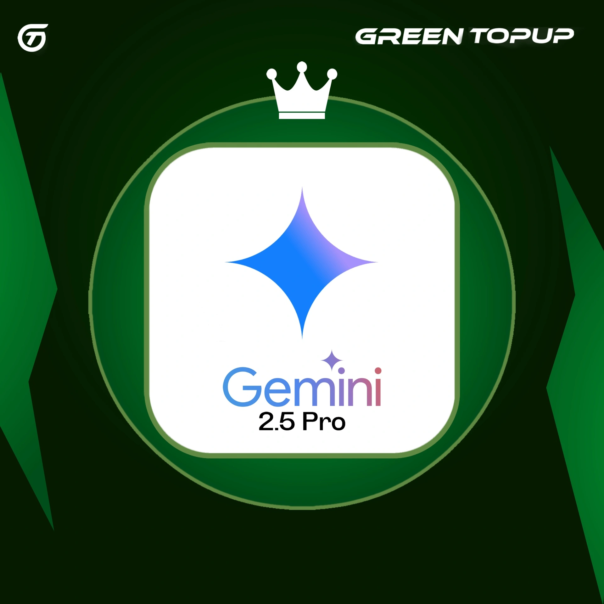 GEMINI PRO